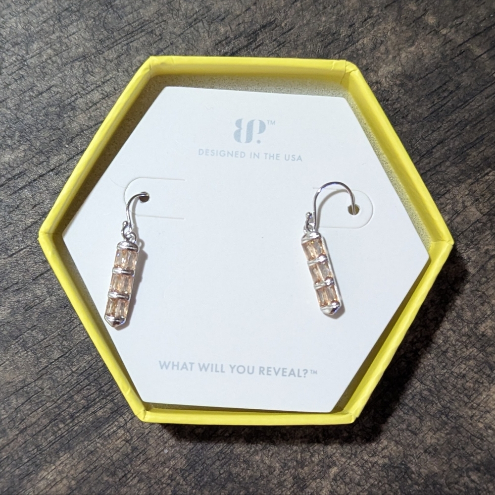 Elegantly Enchanted Bomb Party dangle earrings, RBP8521, NWT